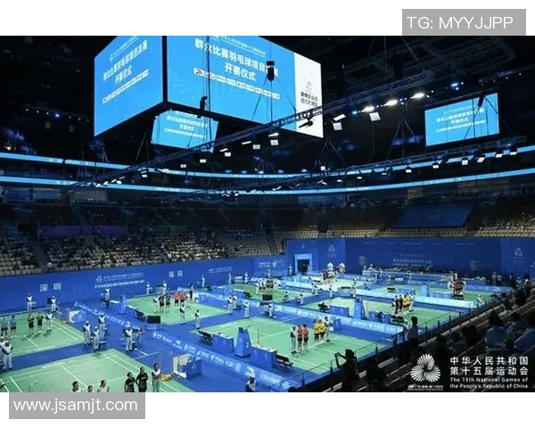 深圳羽毛球队在世界杯背景下的转型与发展之路探索