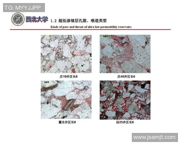 重庆篮球队边路渗透战术分析及其对比赛结果的影响探讨